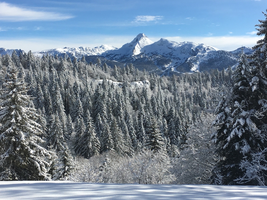 Wintersport Les Glovettes